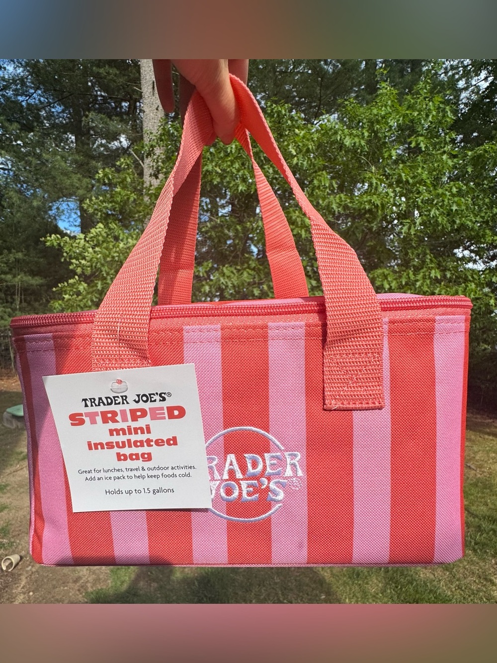 Viral Sold Out Trader Joe’s Mini Insulated Tote Summer Collection 2026